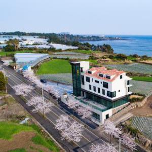 [제주 펜션] 서귀포 하원가펜션 (서귀포시)