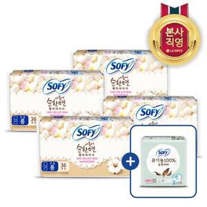 바디피트 내몸에순한면 팬티라이너 36P(롱) x 4팩 (+쏘피 사은품 증정)