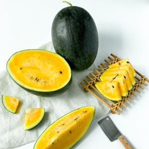 전북 고창 제철과일 블랙망고수박 2kg~3kg내외(1수)/25년햇과