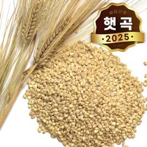 국산 찰보리 500g x 2봉 l 보리쌀 잡곡