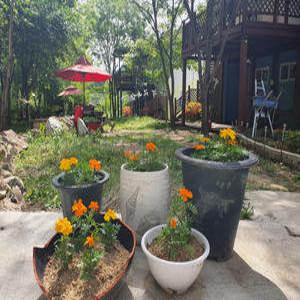 [경북 펜션] 예천 물맑은산골펜션 (문경,상주,영주,예천,군위,의성,봉화)