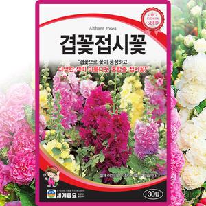 세계종묘 겹꽃 접시꽃 씨앗 30립 촉규화 씨 겹접시꽃 종자