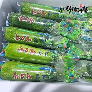 [식탐대첩]식탐대첩 국내산 못난이 애호박 5개 개당400-500g