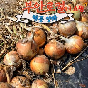 [우체국쇼핑][부안로컬푸드] 해풍맞은 햇양파(중대혼합) 3kg