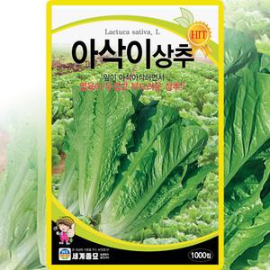 세계종묘 아삭이상추 씨앗 1000립 상추 씨 쌈채소 종자