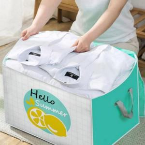 여행가방 민트 수납가방 레몬 백 52x42cm 보관함 방수