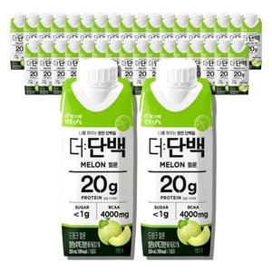 더단백 멜론 프로틴 250ml 36개 단백질음료