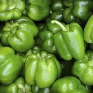 국내산 피망 청피망 2kg 5kg 10kg