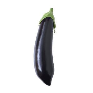 가지 (개)