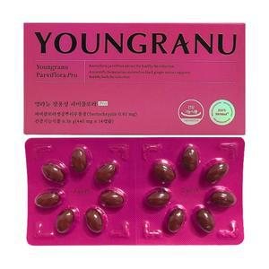 영라뉴 장용성 파비플로라 Pro 440mg 14캡슐. 1개(2주분)