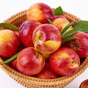 갤러리아 [7/7순차출고]아삭한 단맛 천도복숭아 1kg 소과(8과내외)