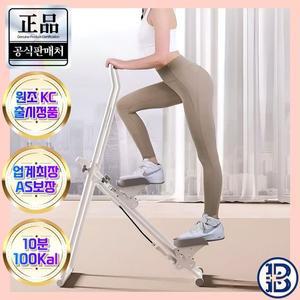 [NS홈쇼핑]브리핏 가정용 천국의계단 접이식 계단오르기기구[35171621]