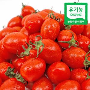 [원픽파머스] 친환경 무농약 대추방울토마토 1-3번과 1kg