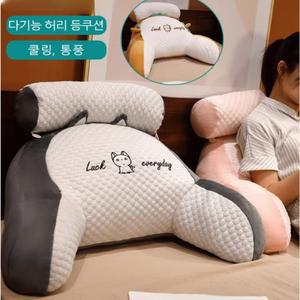 60 OFF 쿨링 아이스빈 대형 소프트 공룡 여름 아이스베개커버 날개 냉감 중형 쿠션