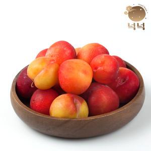 [넉넉] 25년 햇 자두 과일 자두(대석,후무사,추희,도담) 중과 1,2,5kg