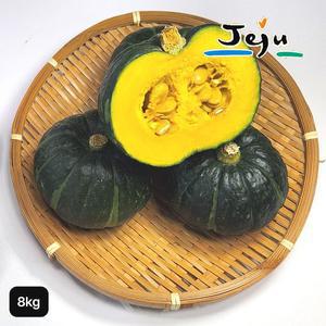제주미니밤단호박 8kg