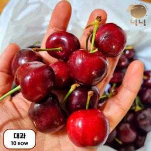 [넉넉] 미국산 새콤달콤 생체리 수입과일 체리 500,800g,1,1.6kg
