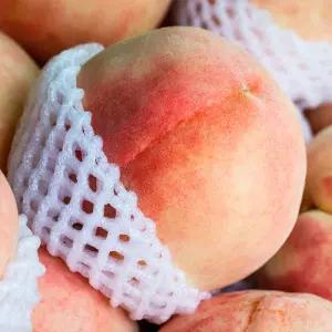 푸드공작소 말랑이 털복숭아 백도 소과 2kg