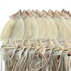 반건조오징어 10마리 (약1.1kg) 무료배송 피데기 원양산 국내가공 쪽빛누리