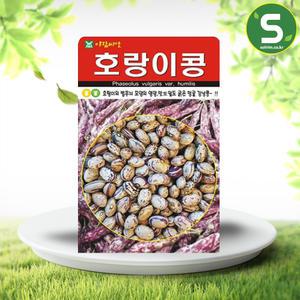 호랑이콩씨앗 30g 호랑이강낭콩 씨앗 종자