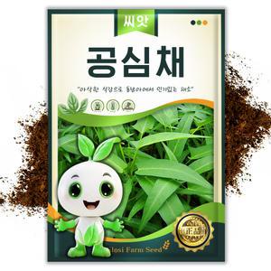 슬로시 동남아야채 씨앗 모닝글로리 공심채 200립