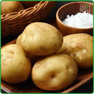 25년 포근포근 수미 감자 5kg (특)