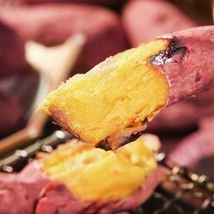 [더조은푸드] 진짜 꿀맛나는 해남 꿀밤고구마 5kg (옵션선택)