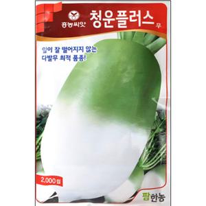 청운플러스 김장무씨앗 가을무종자 2000립