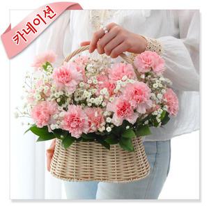 [전국당일]보은_카네이션 전국꽃배달 생일축하 꽃바구니 꽃다발 부모님선물 환갑 팔순 꽃배달 서비스