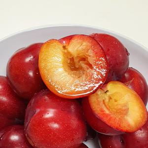 제철 자두[대과] 2kg(36-50과)