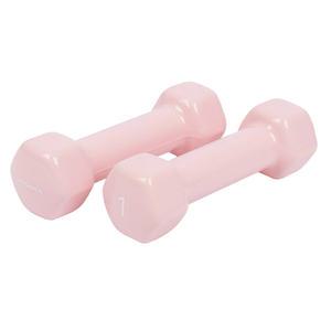 아이워너 뷰티 육각 덤벨 1kg (2개입 1세트) 근력운동 아령 홈트 헬스