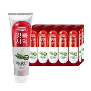 2080진지발리스 유칼립투스 스트롱 150g x 10개