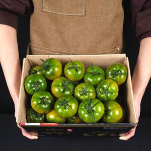 단짠 김해 대저토마토 짭짤이 로얄과 S-2S 2.5kg