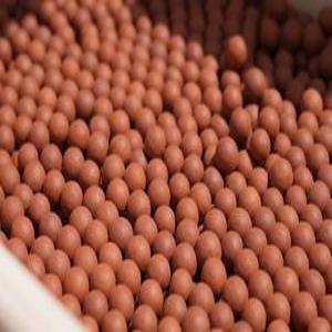 황토볼 12~13미리 1kg. 5kg  발지압가능