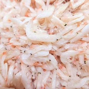 온) 국내산 새우젓 육젓 500g x 1통