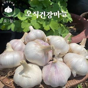 무안 황토밭 25년산 순한 대서 통마늘 5kg (