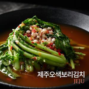 제주오색보리김치(열무) 1kg x 1캔(김치전용용기)