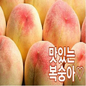 단단한 복숭아/백도/황도/4kg(굵은과수/최상품)/선물용