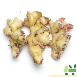 생강 (흙생강) (특) 1Kg