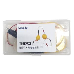 사이언스조아 과일전지 멜로디버저 실험세트(케이스입)/50410