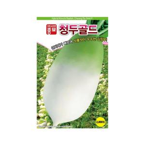 청두골드 무 씨앗 2000립 김장 무우 씨 종자
