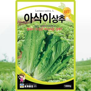 세계종묘 아삭이상추 씨앗 1000립 아삭이 상추씨 쌈채소 종자