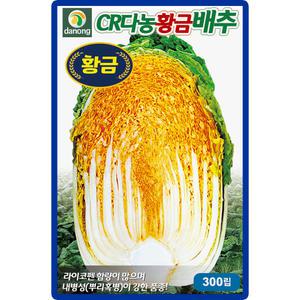 다농 CR황금배추 씨앗 300립 노란색 가을김장배추씨 종자 뿌리혹병 저항성