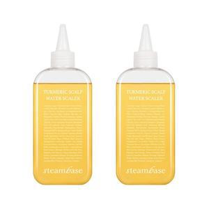 스팀베이스 터메릭 워터 스케일러 250ml x 2개