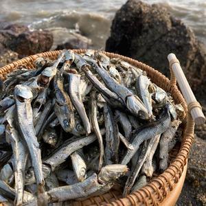 통영 다시멸치 1.5kg 특가형 남해멸치 국물멸치 대멸치