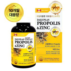 에버그린 데일리플랜 프로폴리스&아연 520mg x 300캡슐