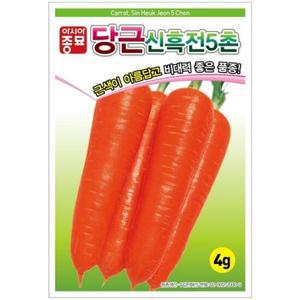아시아종묘 씨앗 당근 신흑전5촌 80g