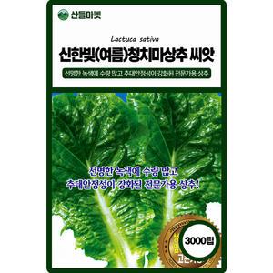 산들마켓 신한빛여름청치마 상추 씨앗 3000립 선명한 녹색의 추대안정성이 강화된 전문가용 고급 종자 품종