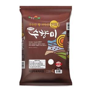 수향미 현미 10kg 골드퀸3호 24년 햇곡