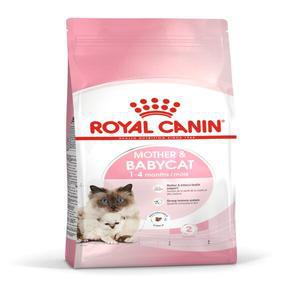 로얄캐닌 캣 마더앤 베이비 고양이 건식사료 1.2kg